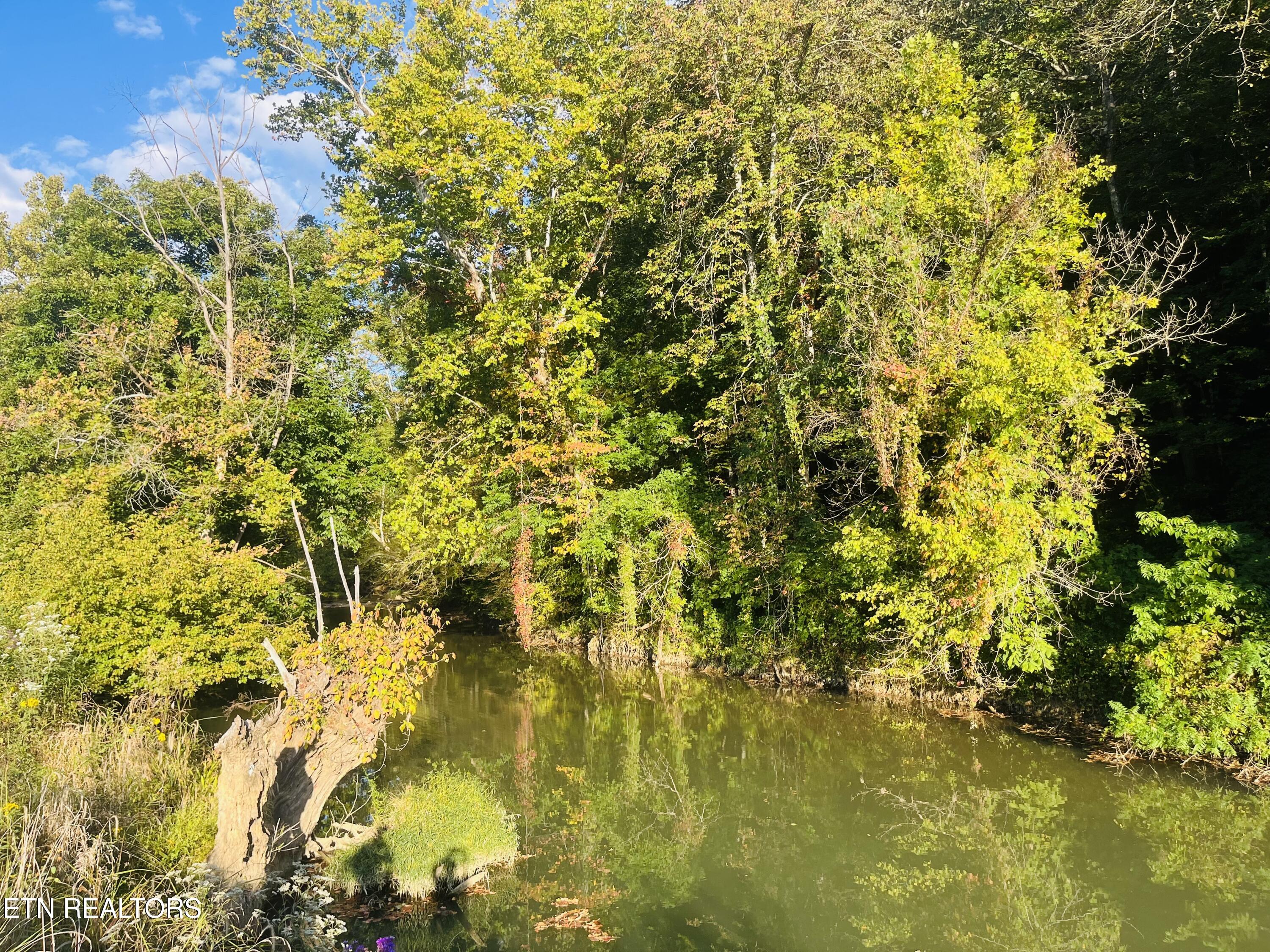 East Bullrun Valley Drive Heiskell, TN 37754 - Photo 12 of 24 IMG_5692