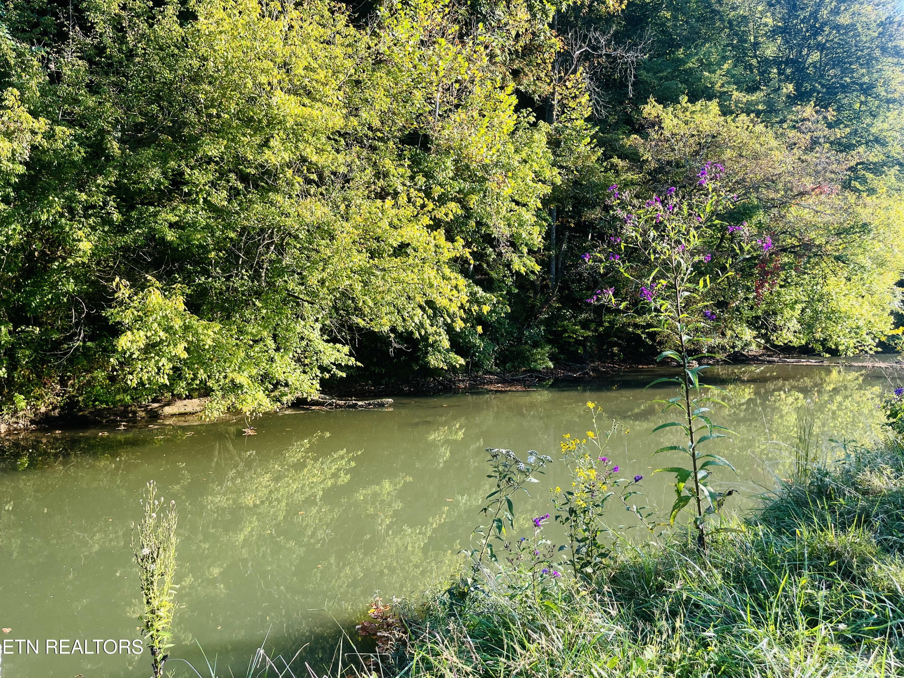 East Bullrun Valley Drive Heiskell, TN 37754 - Photo 13 of 24 IMG_5690