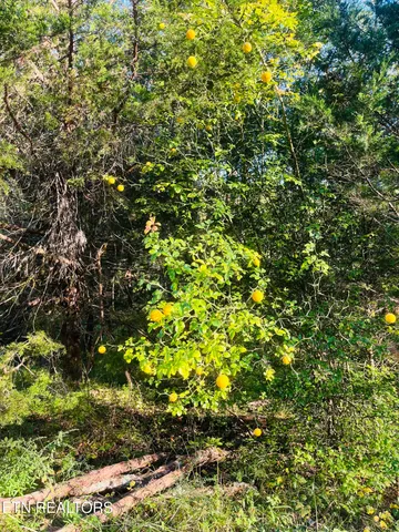 $325,000 | East Bullrun Valley Drive, Heiskell, TN 37754