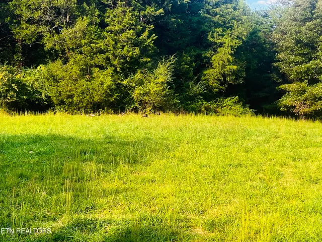 $325,000 | East Bullrun Valley Drive, Heiskell, TN 37754