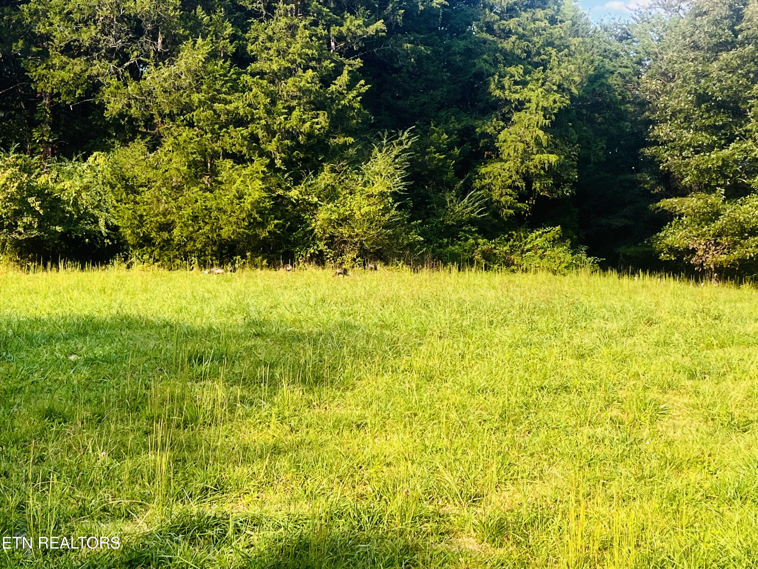 East Bullrun Valley Drive Heiskell, TN 37754 - Photo 3 of 24 IMG_5636