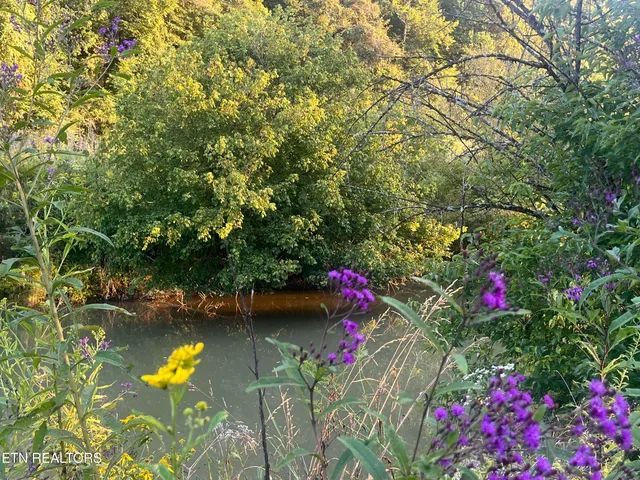 $325,000 | East Bullrun Valley Drive, Heiskell, TN 37754