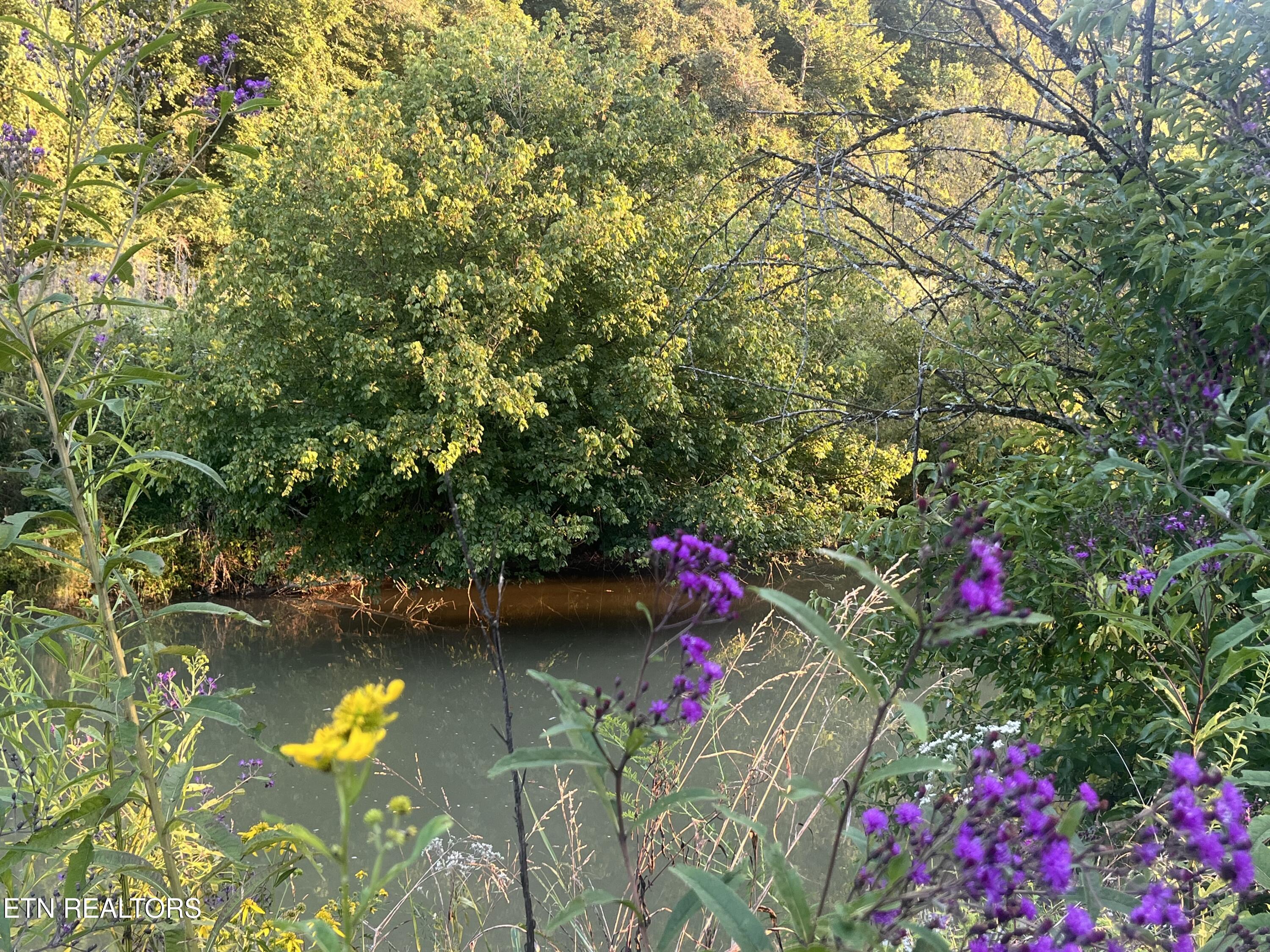 East Bullrun Valley Drive Heiskell, TN 37754 - Photo 4 of 24 IMG_5453