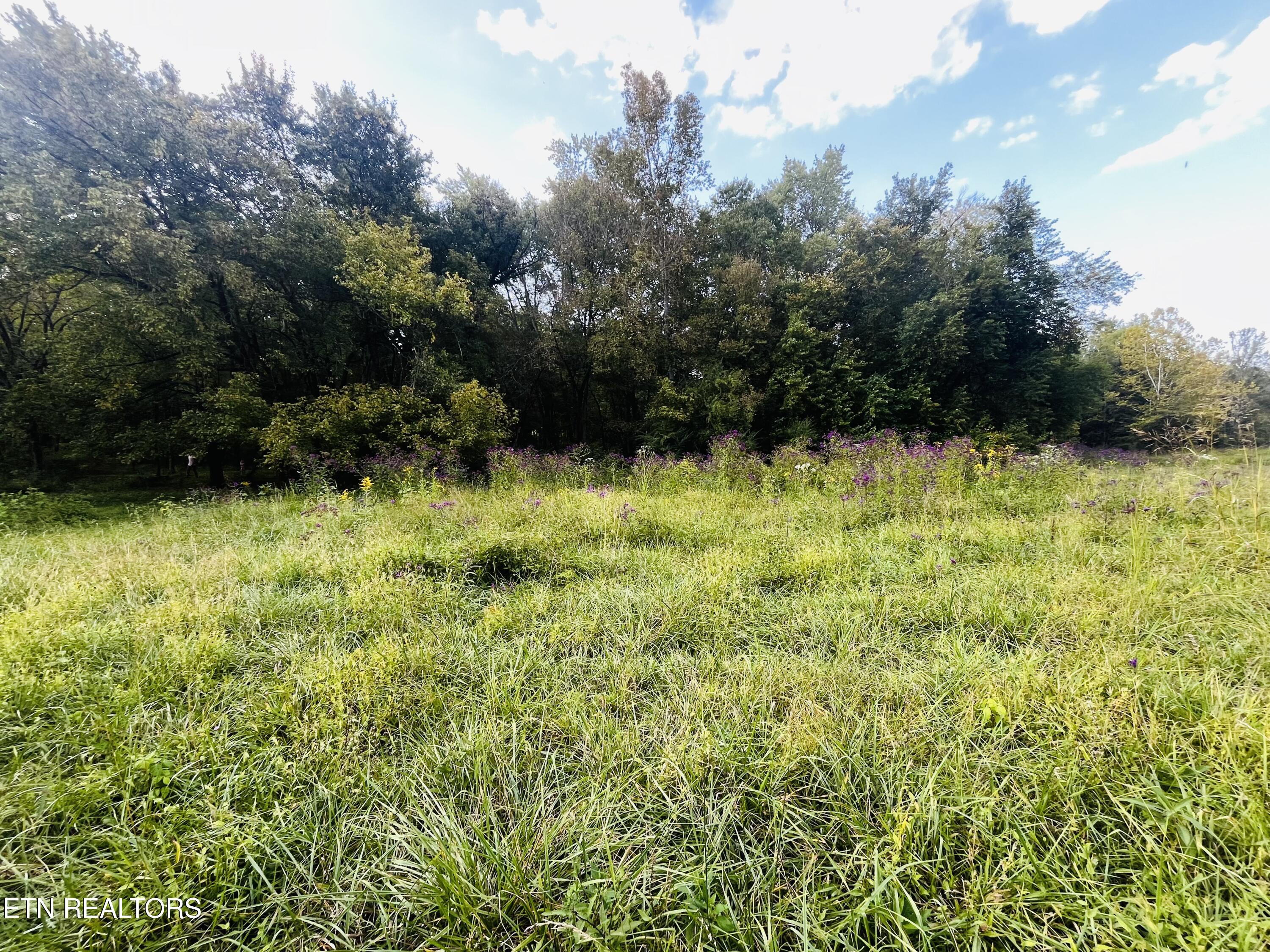 East Bullrun Valley Drive Heiskell, TN 37754 - Photo 6 of 24 IMG_5650