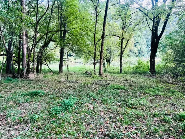 $325,000 | East Bullrun Valley Drive, Heiskell, TN 37754