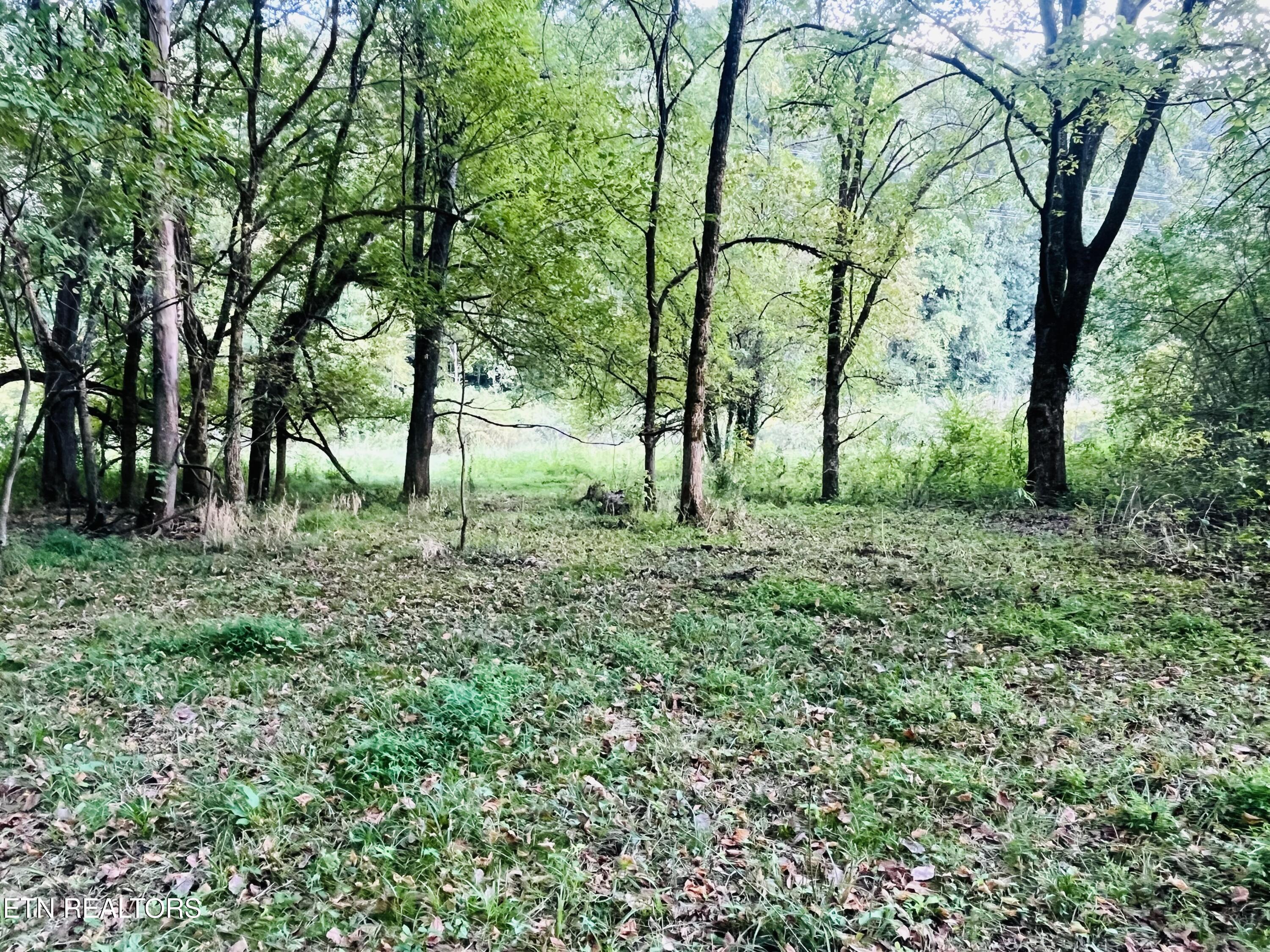 East Bullrun Valley Drive Heiskell, TN 37754 - Photo 8 of 24 IMG_5660