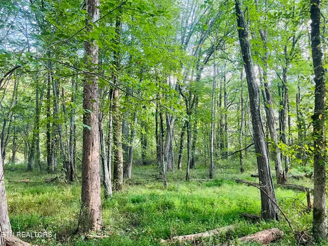 $325,000 | East Bullrun Valley Drive, Heiskell, TN 37754