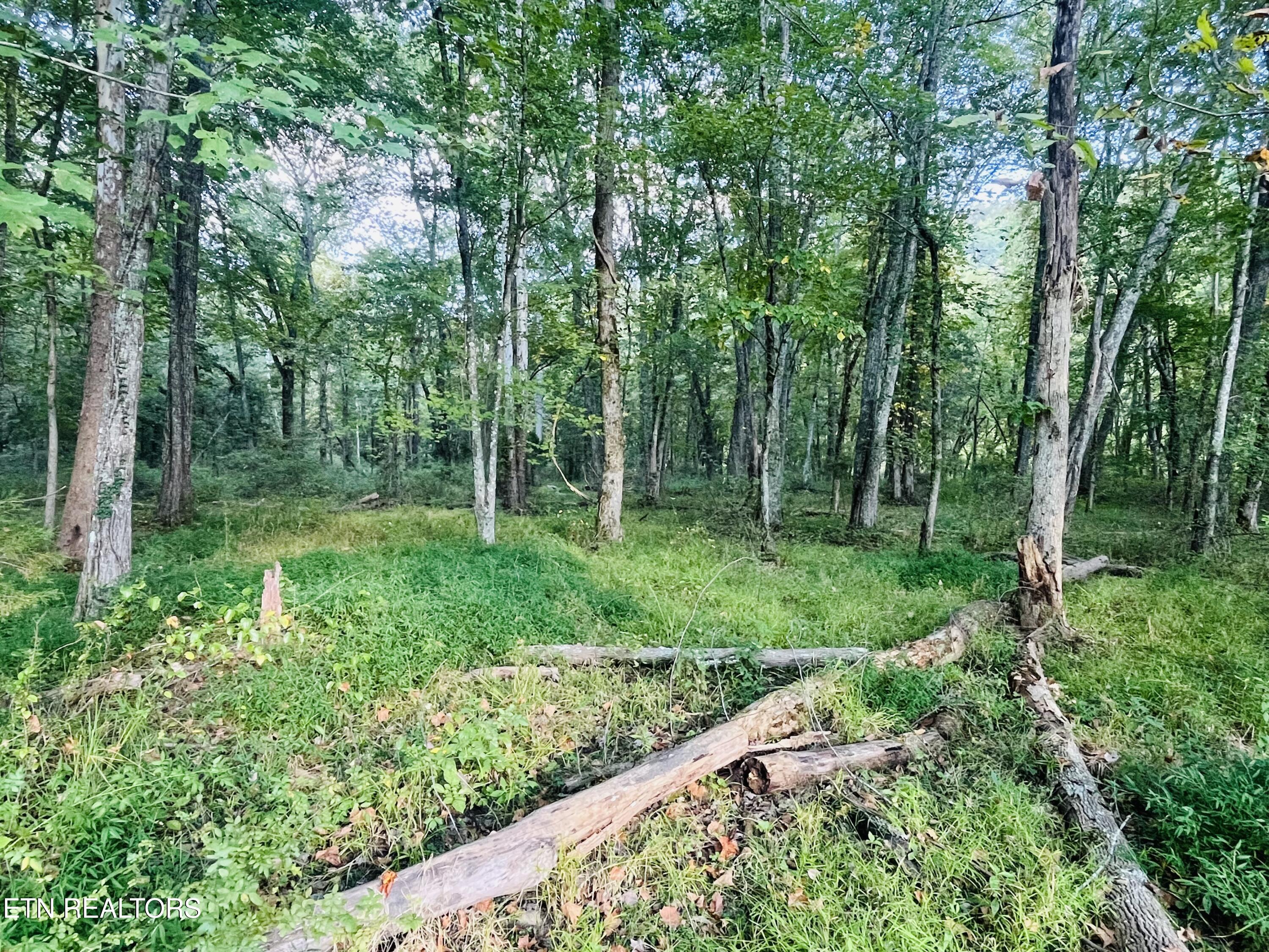 East Bullrun Valley Drive Heiskell, TN 37754 - Photo 10 of 24 IMG_5673