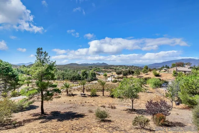 a picture of a black and white photo