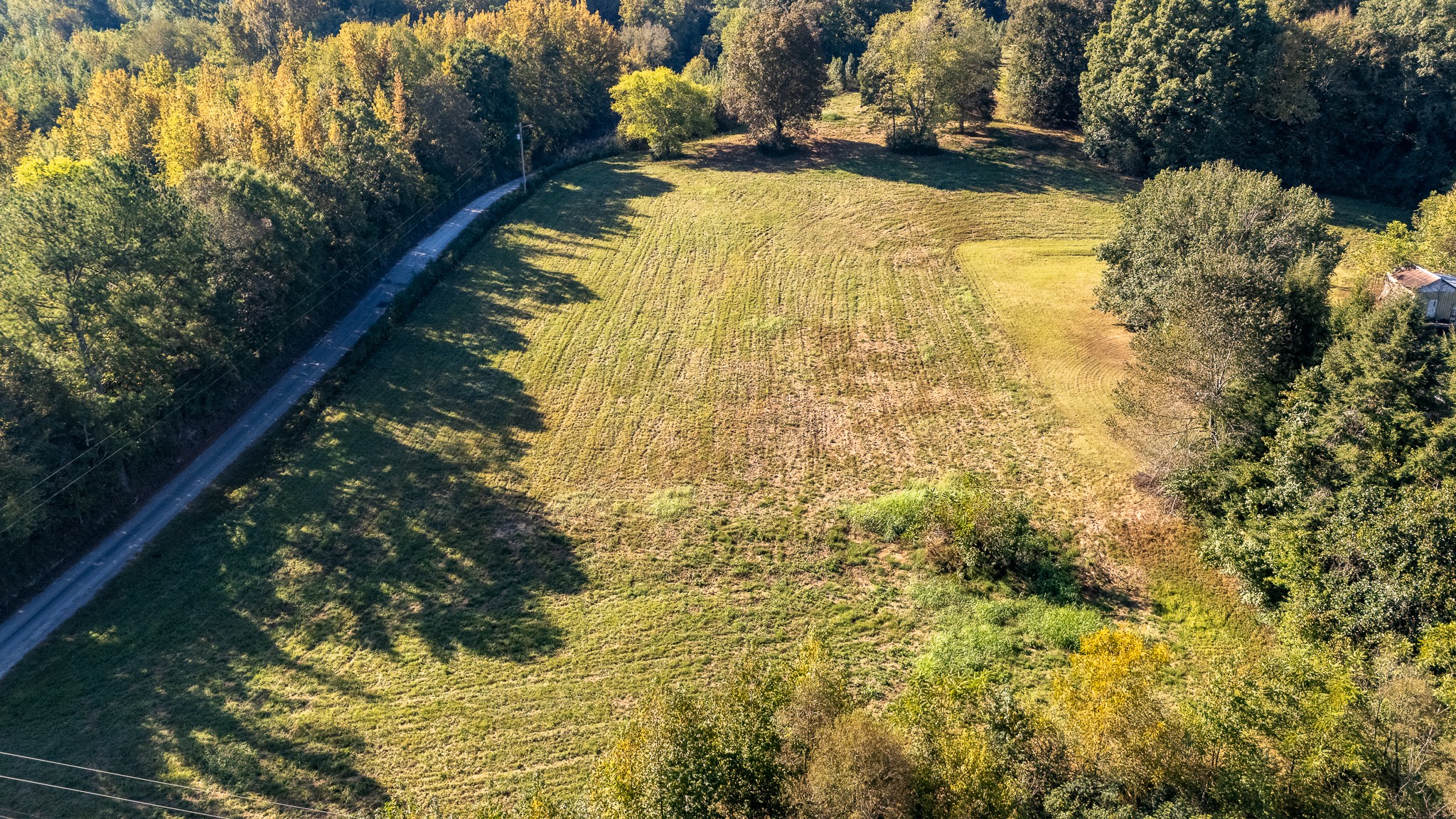 9 Gowen Road Leoma, TN 38468 - Photo 9 of 38 Gallery Image 9