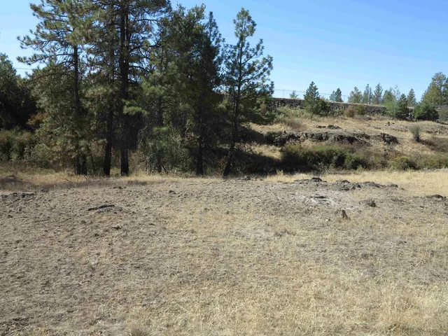 $120,000 | 17700-blk West Williams Lake Road, Cheney, WA 99004