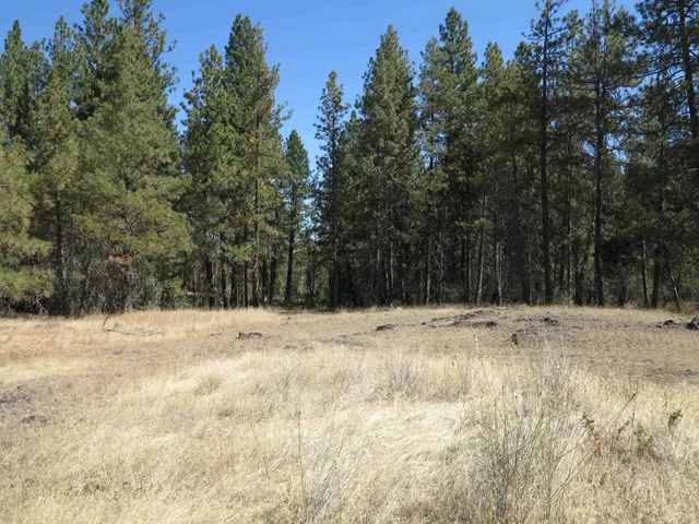 $120,000 | 17700-blk West Williams Lake Road, Cheney, WA 99004