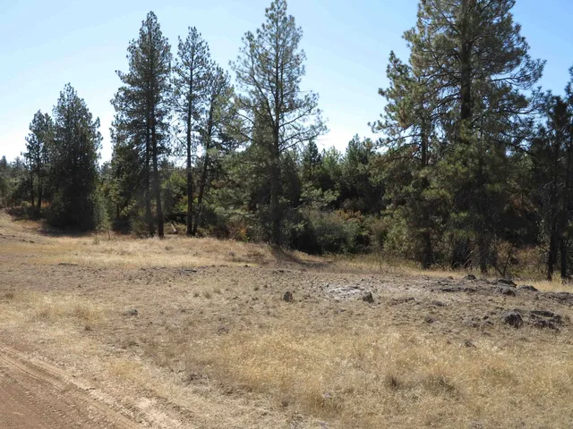 $120,000 | 17700-blk West Williams Lake Road, Cheney, WA 99004