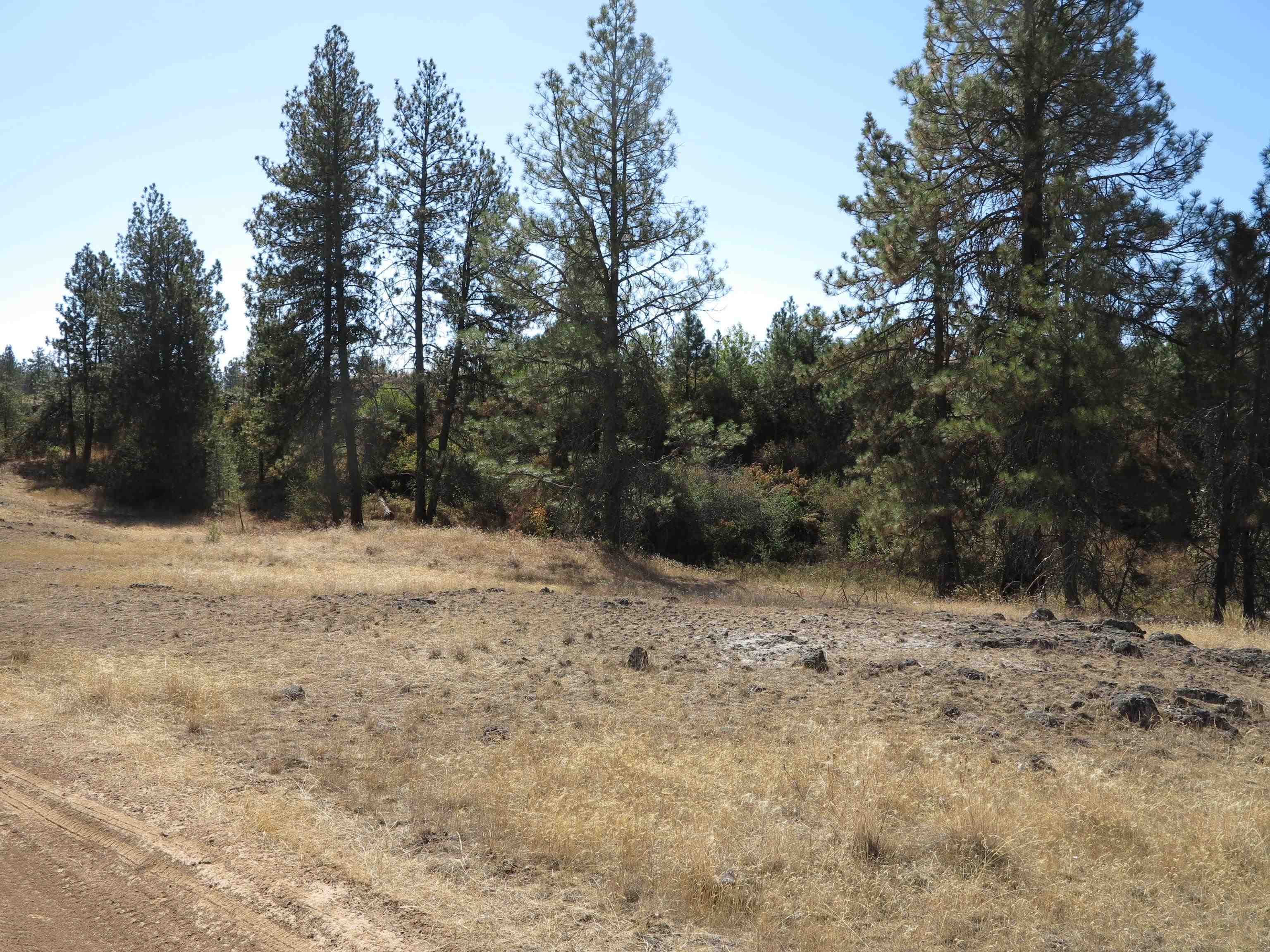 17700-blk West Williams Lake Road Cheney, WA 99004 - Photo 16 of 22