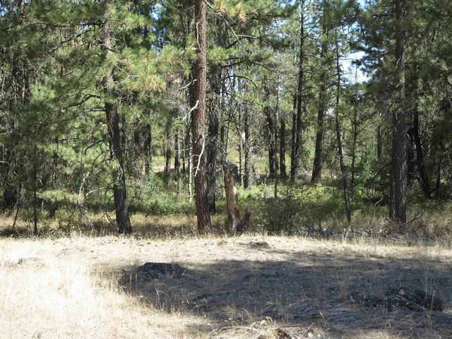 $120,000 | 17700-blk West Williams Lake Road, Cheney, WA 99004