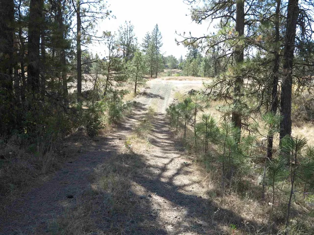 $120,000 | 17700-blk West Williams Lake Road, Cheney, WA 99004