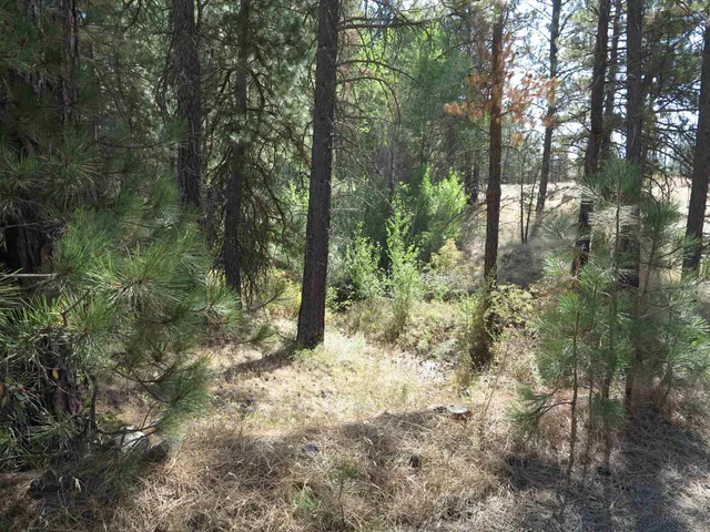 $120,000 | 17700-blk West Williams Lake Road, Cheney, WA 99004