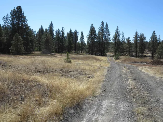 $120,000 | 17700-blk West Williams Lake Road, Cheney, WA 99004