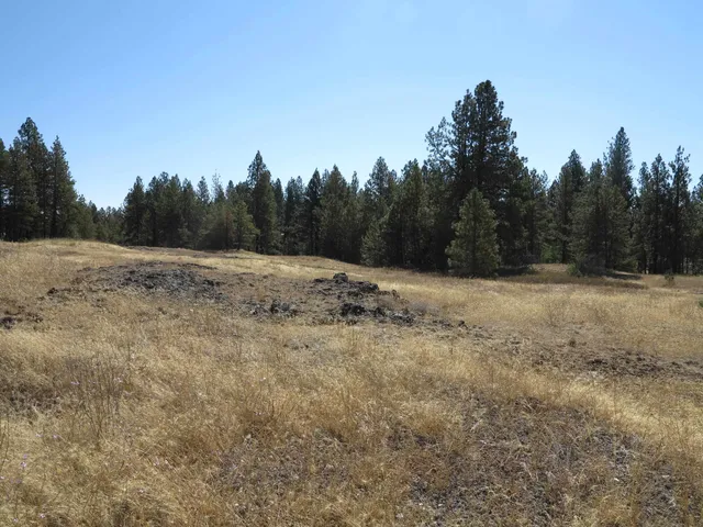 $120,000 | 17700-blk West Williams Lake Road, Cheney, WA 99004