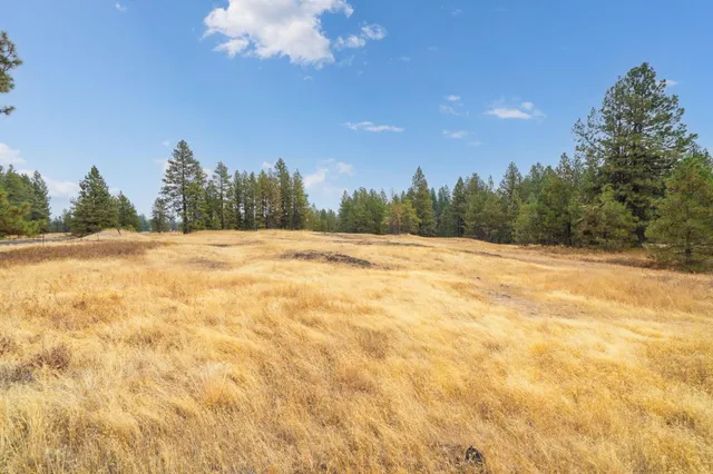 $120,000 | 17700-blk West Williams Lake Road, Cheney, WA 99004