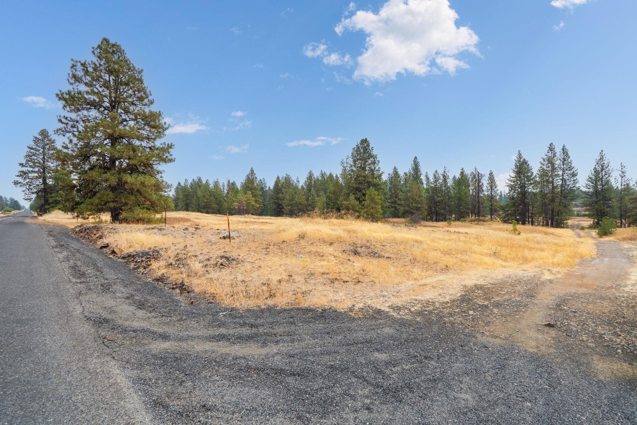 17700-blk West Williams Lake Road Cheney, WA 99004 - Photo 9 of 22