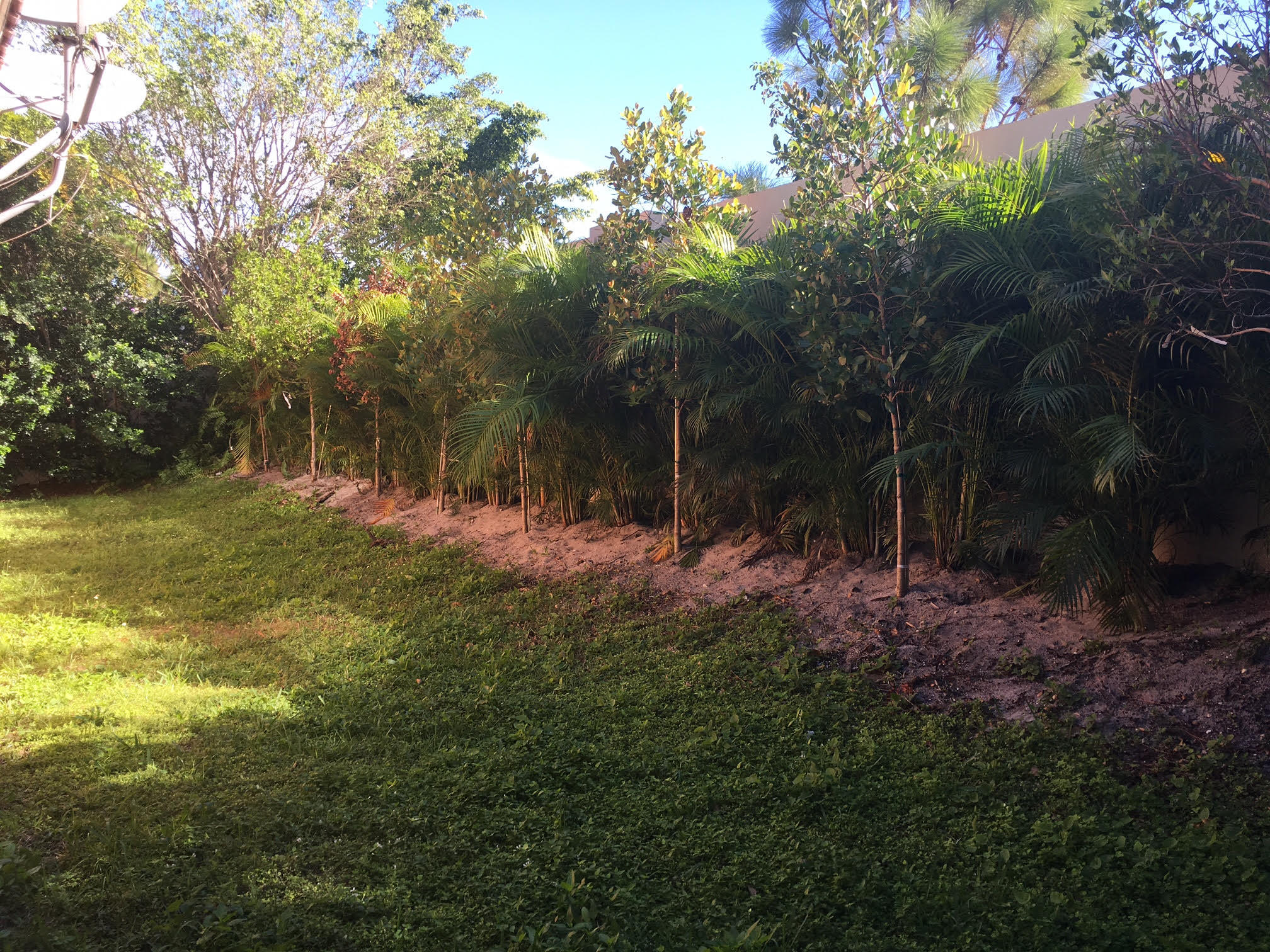 1680 Southwest 2nd Avenue Boca Raton, FL 33432 - Photo 44 of 48 Backyard