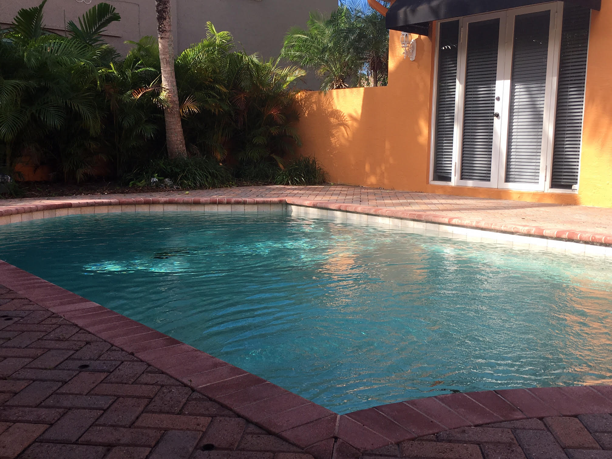 1680 Southwest 2nd Avenue Boca Raton, FL 33432 - Photo 46 of 48 Pool Wall New landscape