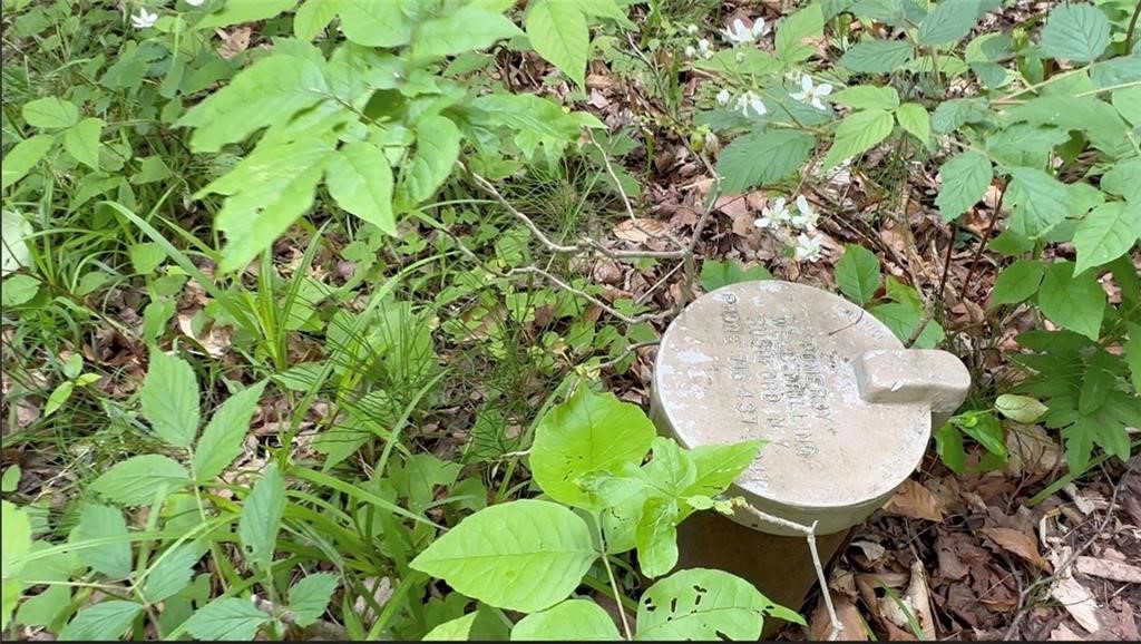 9272 Morrison Road Rushford, NY 14060 - Photo 9 of 12 Well