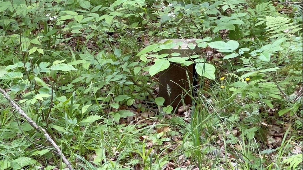 9272 Morrison Road Rushford, NY 14060 - Photo 10 of 12 well