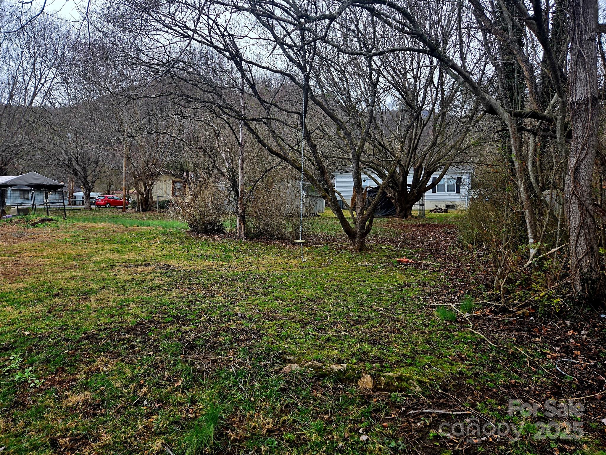 999 Chipper Curve Road Sylva, NC 28779 - Photo 4 of 17 a view of a yard with a tree