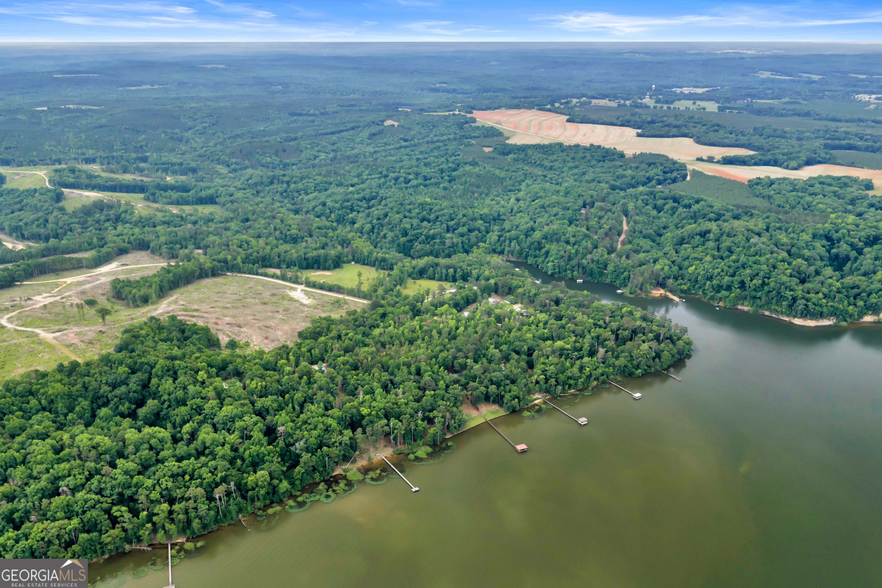 473 Vining Branch Road Georgetown, GA 39854 - Photo 18 of 43 a view of a lake with a city