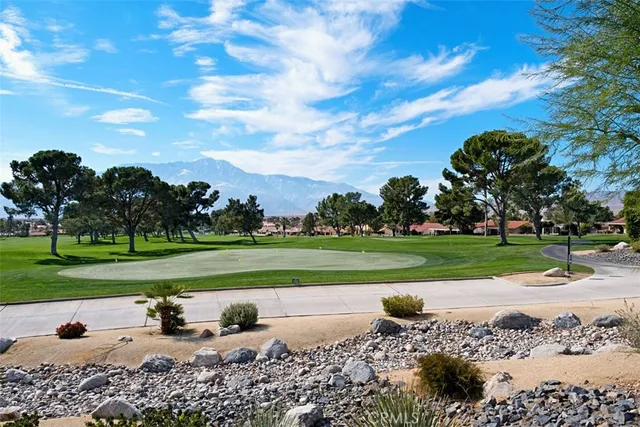 a park view with a bench plants and trees