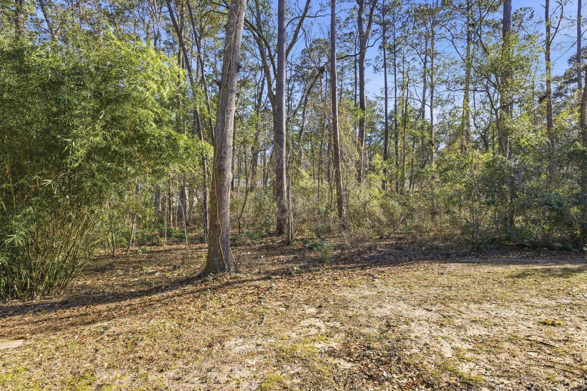 8029 Briarcreek Road East Tallahassee, FL 32312 - Photo 2 of 65