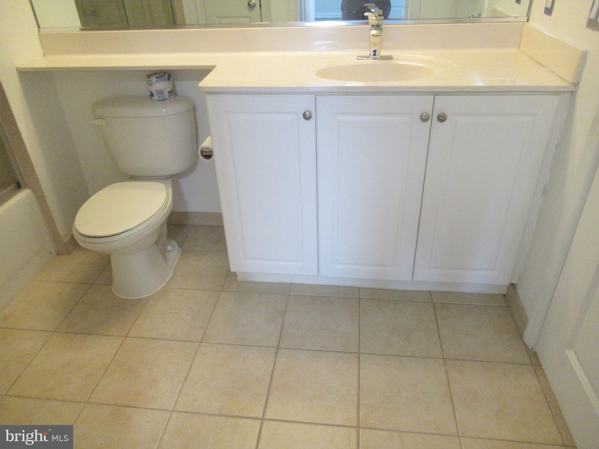 851 North Glebe Road, Unit 714 Arlington, VA 22203 - Photo 18 of 33 Bathroom