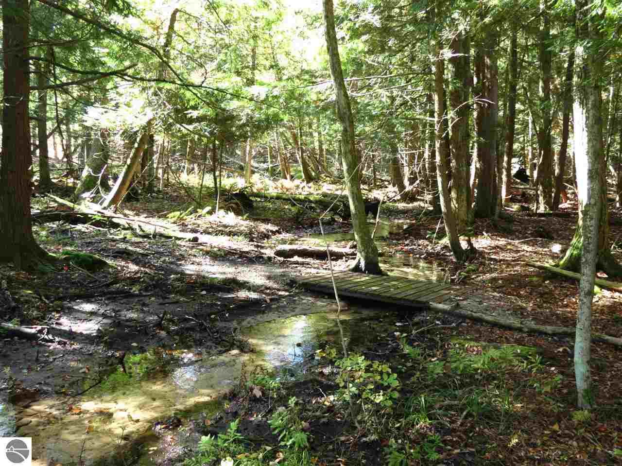 18541 Moore Road Thompsonville, MI 49683 - Photo 12 of 18 1777273-11.JPG