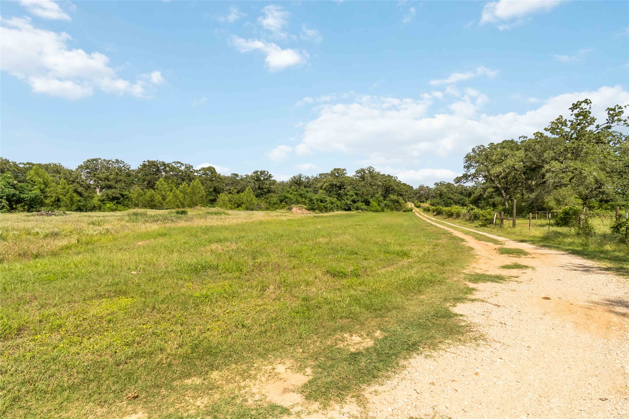 1208 Jeddo Road Rosanky, TX 78953 - Photo 35 of 40 A vast, open pasture with a rustic dirt road leads to a distant treeline.