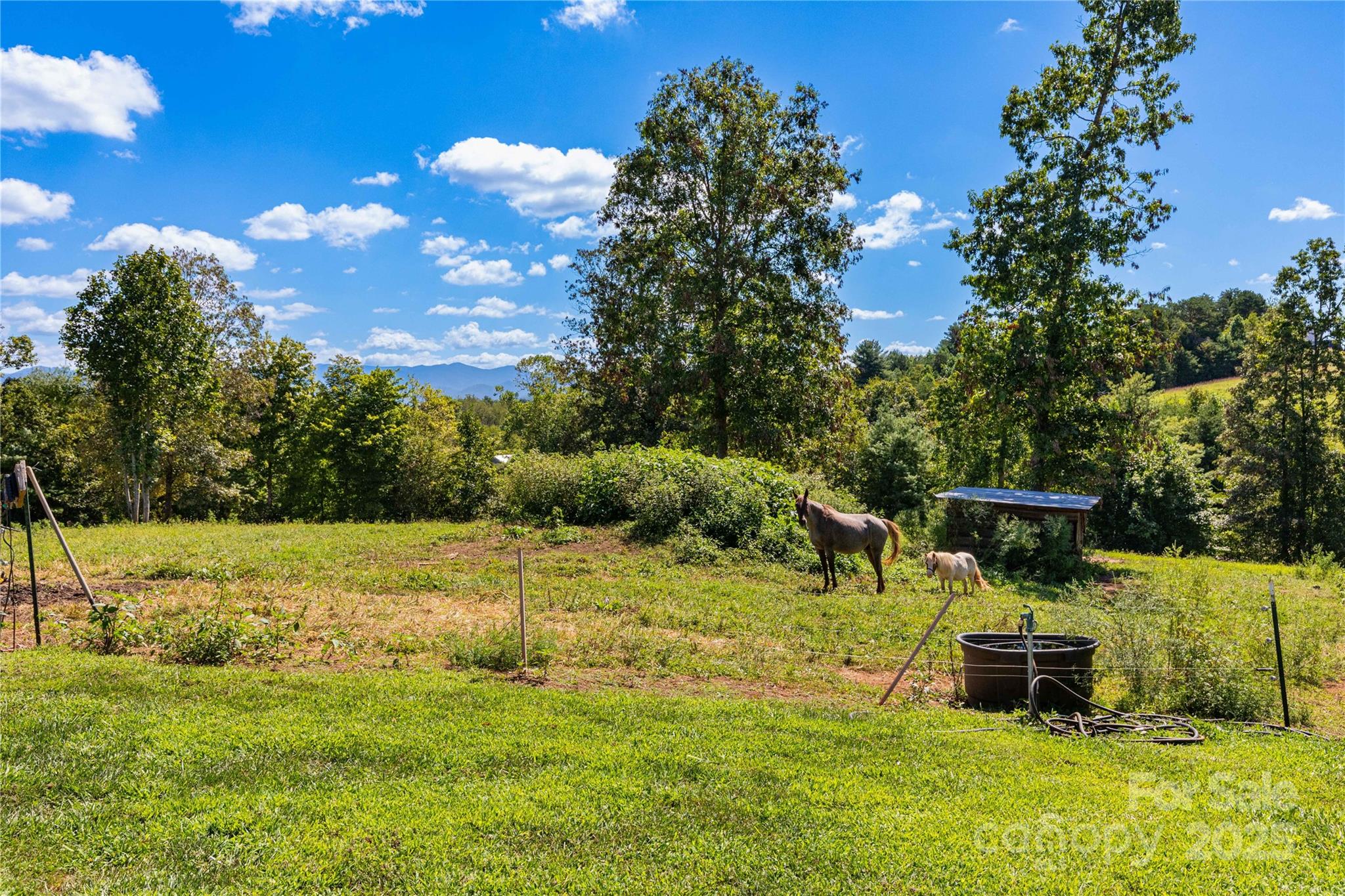 653 Mag Sluder Road Alexander, NC 28701 - Photo 5 of 28 a backyard of a house with table and chairs