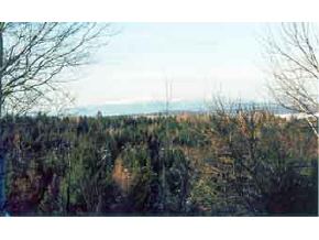 - Allen Hill Road Craftsbury, VT 05826 - Photo 3 of 4