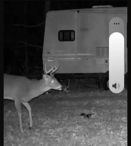 $115,000 | W13541 Brooks Lane, Crivitz, WI 54114