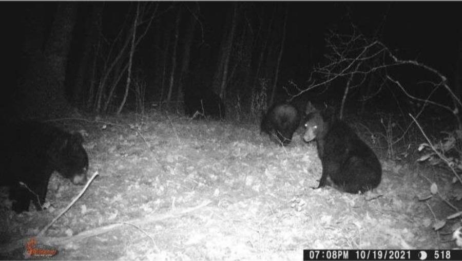 W13541 Brooks Lane Crivitz, WI 54114 - Photo 12 of 13