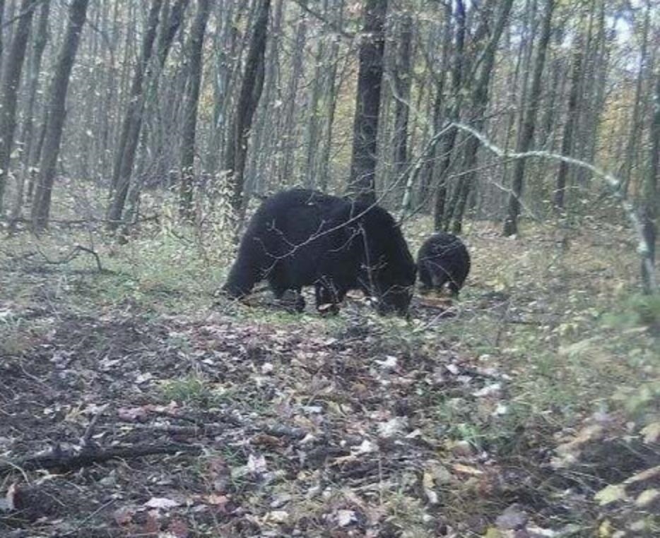 W13541 Brooks Lane Crivitz, WI 54114 - Photo 13 of 13