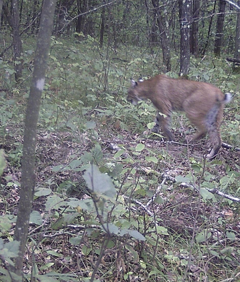 W13541 Brooks Lane Crivitz, WI 54114 - Photo 10 of 13
