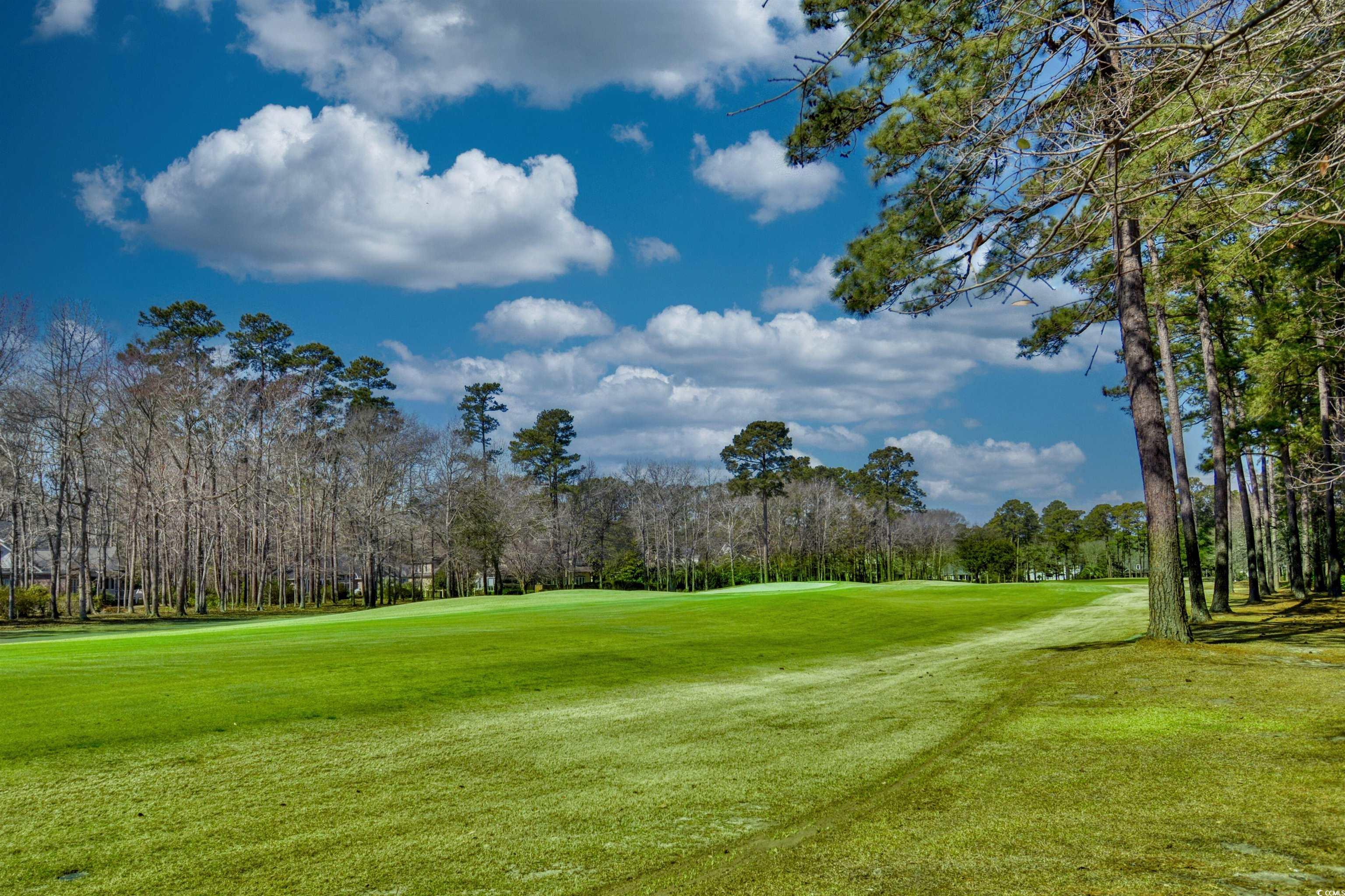 4514 Wagon Run Murrells Inlet, SC 29576 - Photo 39 of 40 View of community featuring view of golf course an