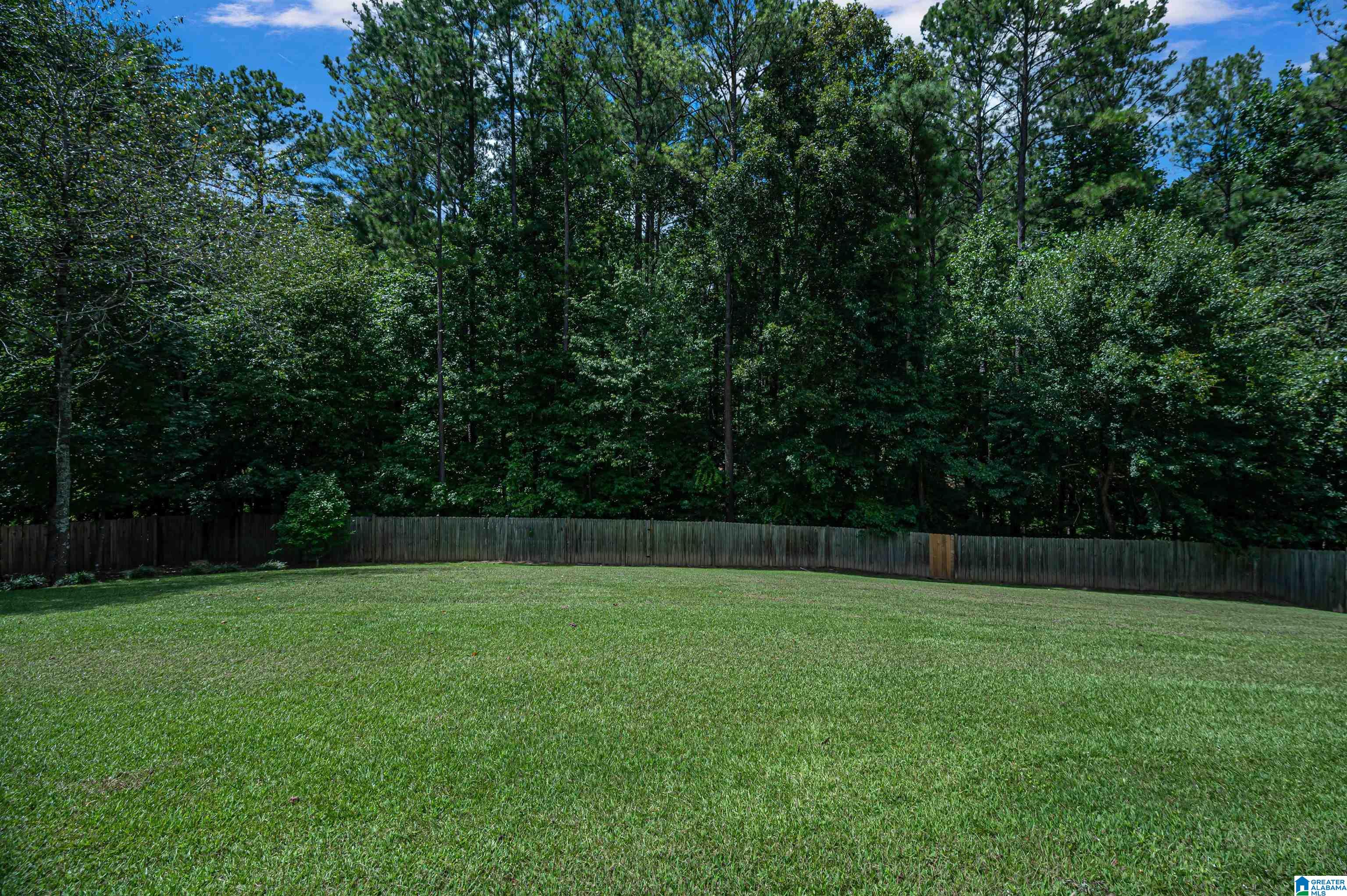 509 Woodbridge Trace Chelsea, AL 35043 - Photo 48 of 50