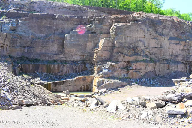 a view of a small yard