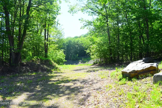 a view of a beach and a yard