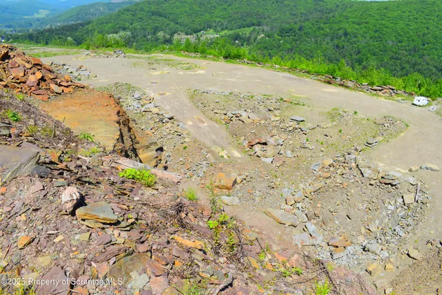 a view of a field with an ocean