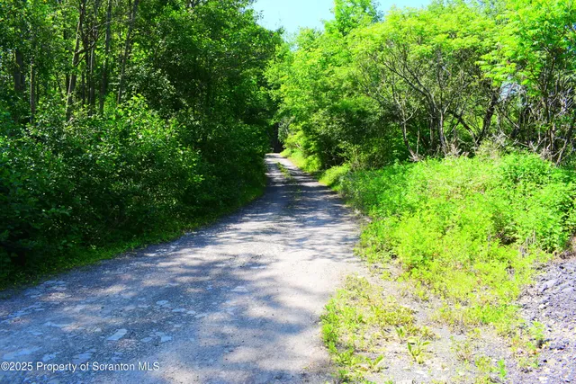 a view of a pathway both side of yard