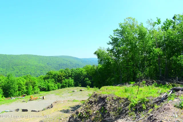 a view of a beach with a yard