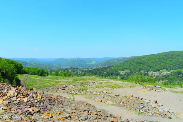 a view of a lush green field with lots of trees